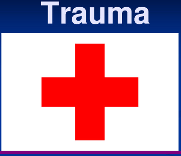 Driving Hospital Success with a Level II Trauma Center